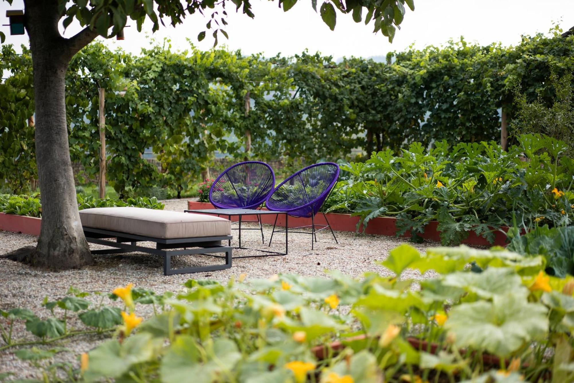 산토 스테파노 벨보 Vigne Di Fagnano 1709 Eco Relais 게스트하우스 외부 사진